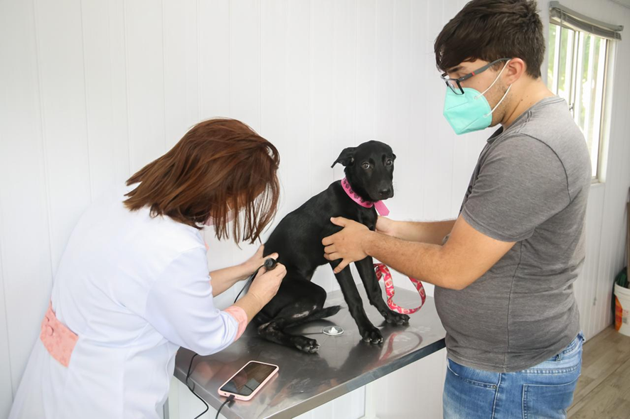 VetMóvel oferece serviços veterinários no estacionamento do RioMar Kennedy