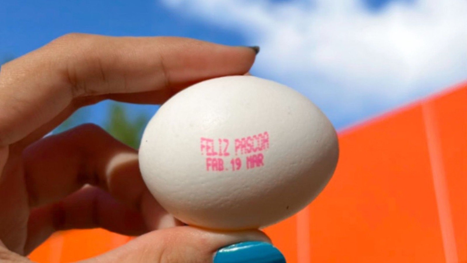 Ovos da Avine chegam ao mercado com mensagem de “Feliz Páscoa” na casca