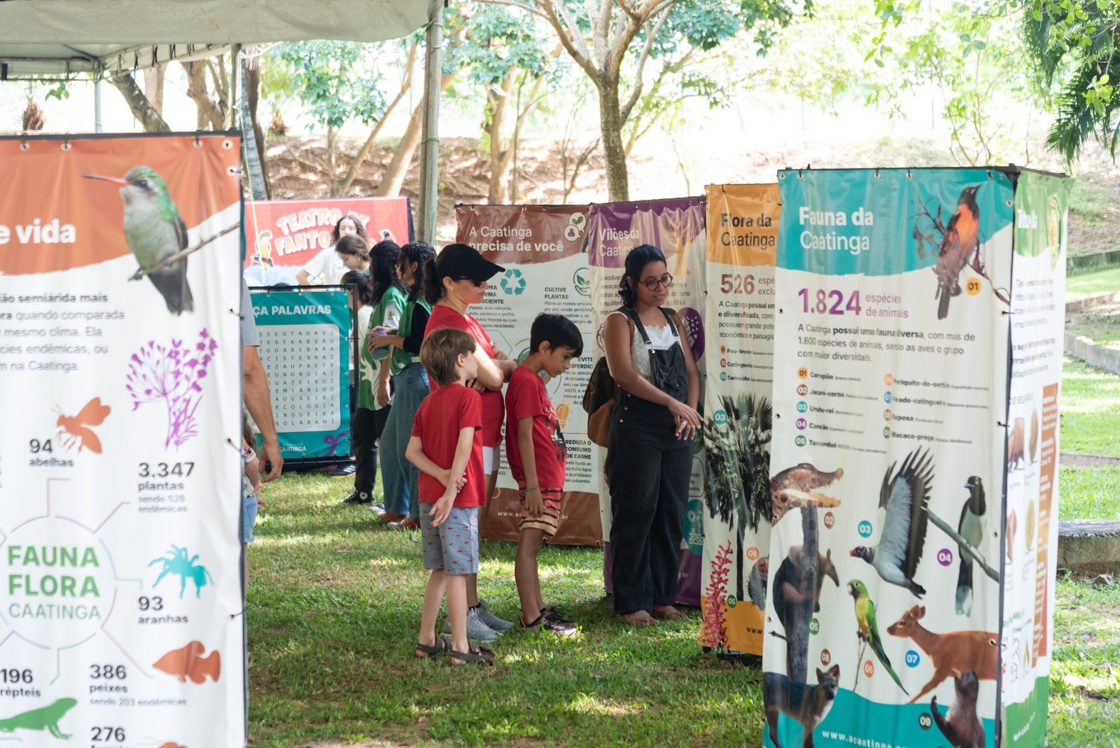 Evento “Caatinga Viva” leva atividades educativas ao Parque do Cocó em alusão ao Dia da Caatinga