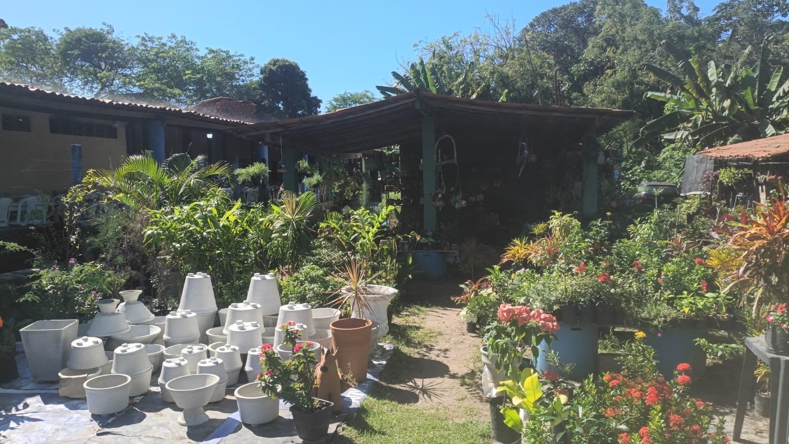 No coração da Av. Presidente Costa e Silva, Jardim Casas das Flores transforma Fortaleza em um oásis verde