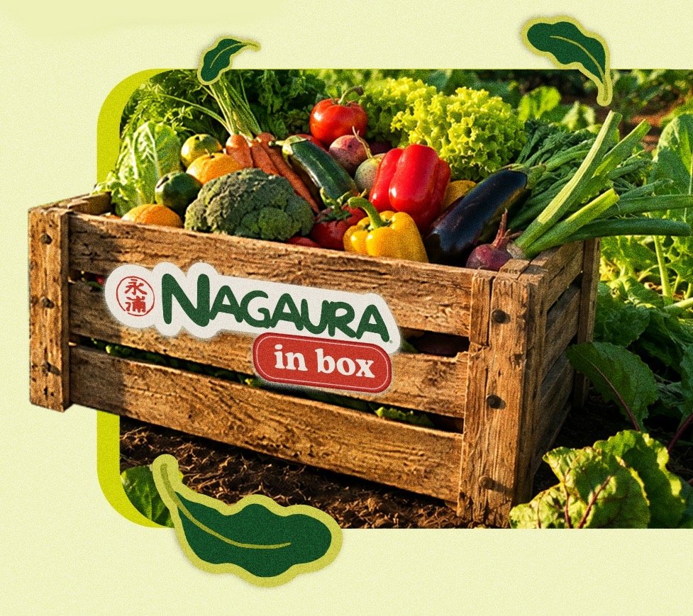 ​Quer comer sem agrotóxicos? Feira personalizadas chegam à porta de casa
