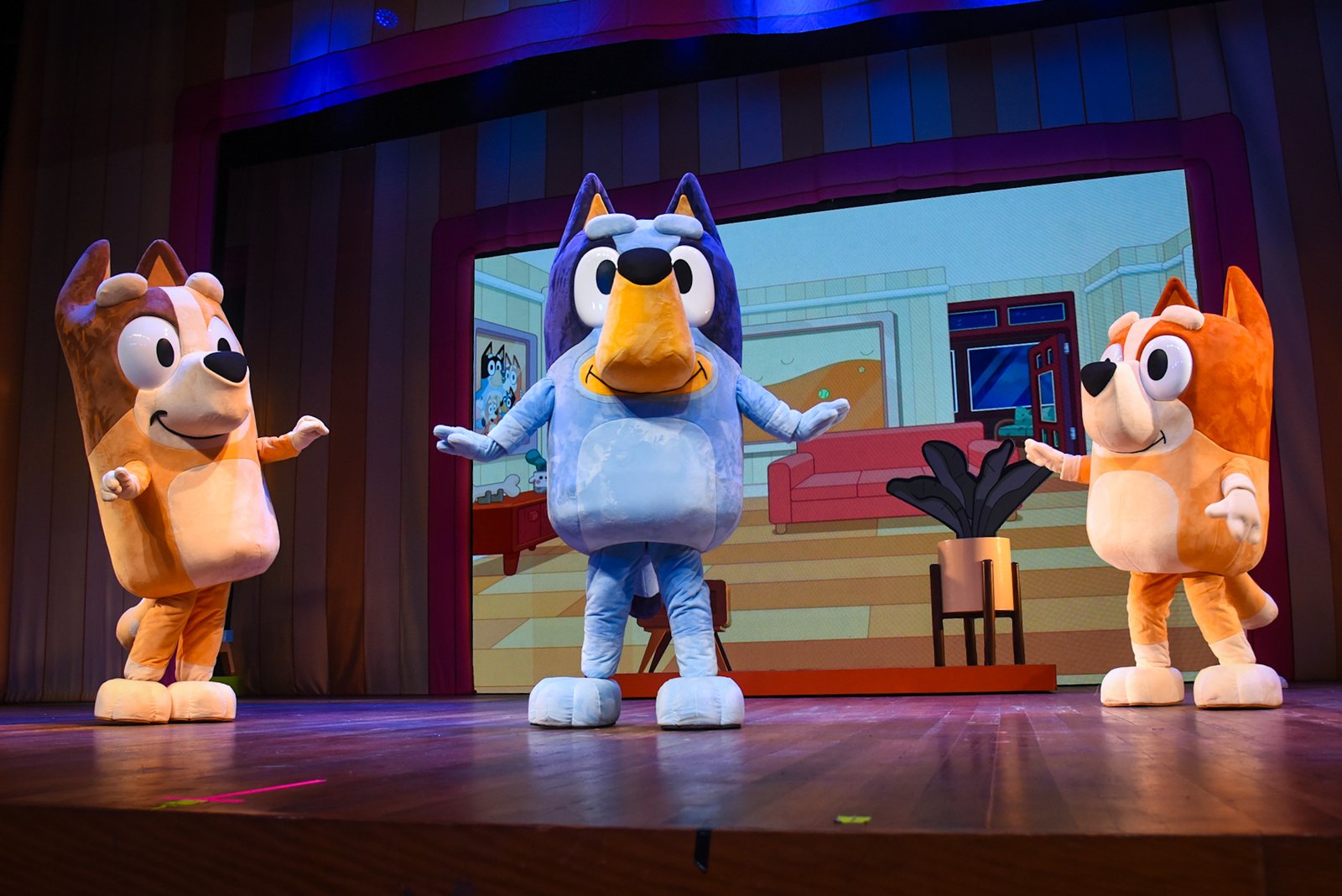 Show Oficial “Bluey – Ao Vivo – Diversão em Família!” pela primeira vez em Fortaleza