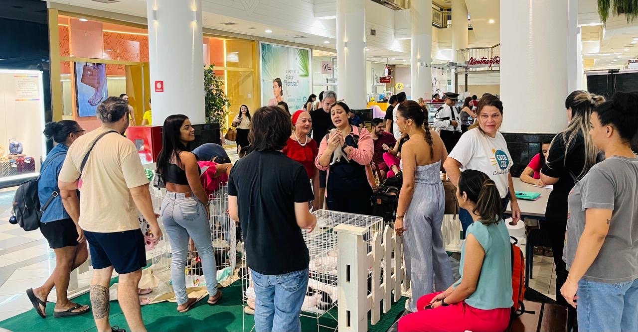 Shopping Aldeota realiza nova edição do “Adote Um Amigo” com projeto Animais Universitários